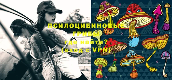 винт Алексеевка