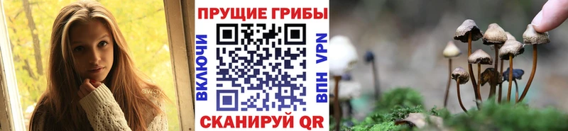 Галлюциногенные грибы Magic Shrooms  закладки  Анжеро-Судженск 