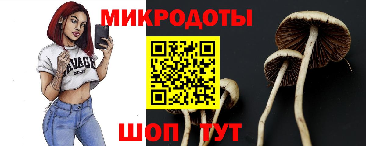 Анжеро-Судженск  Галлюциногенные грибы мицелий  Вход с VPN 