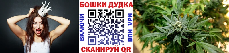 сколько стоит  Анжеро-Судженск  Конопля White Widow 